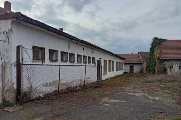 IMG20240312154636