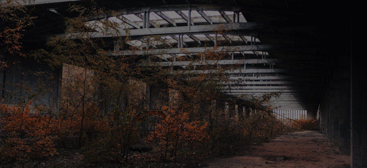 jakub-pabis-pMg6HvAsCZI-unsplash 1